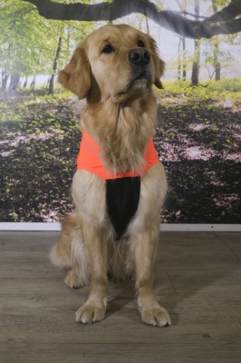 Decke orange, seitlich Blindenführhund, Rücken nicht streicheln